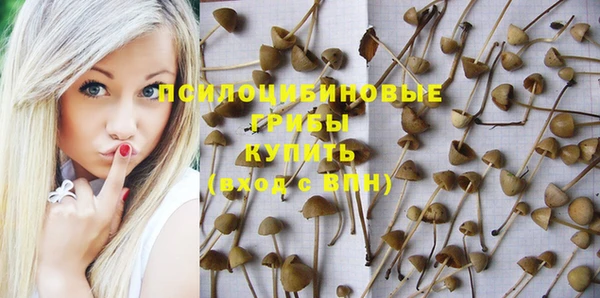 дживик Баксан