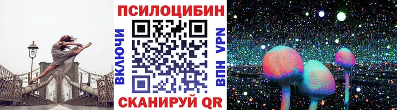 Псилоцибиновые грибы Magic Shrooms  купить наркотики сайты  Пугачёв 